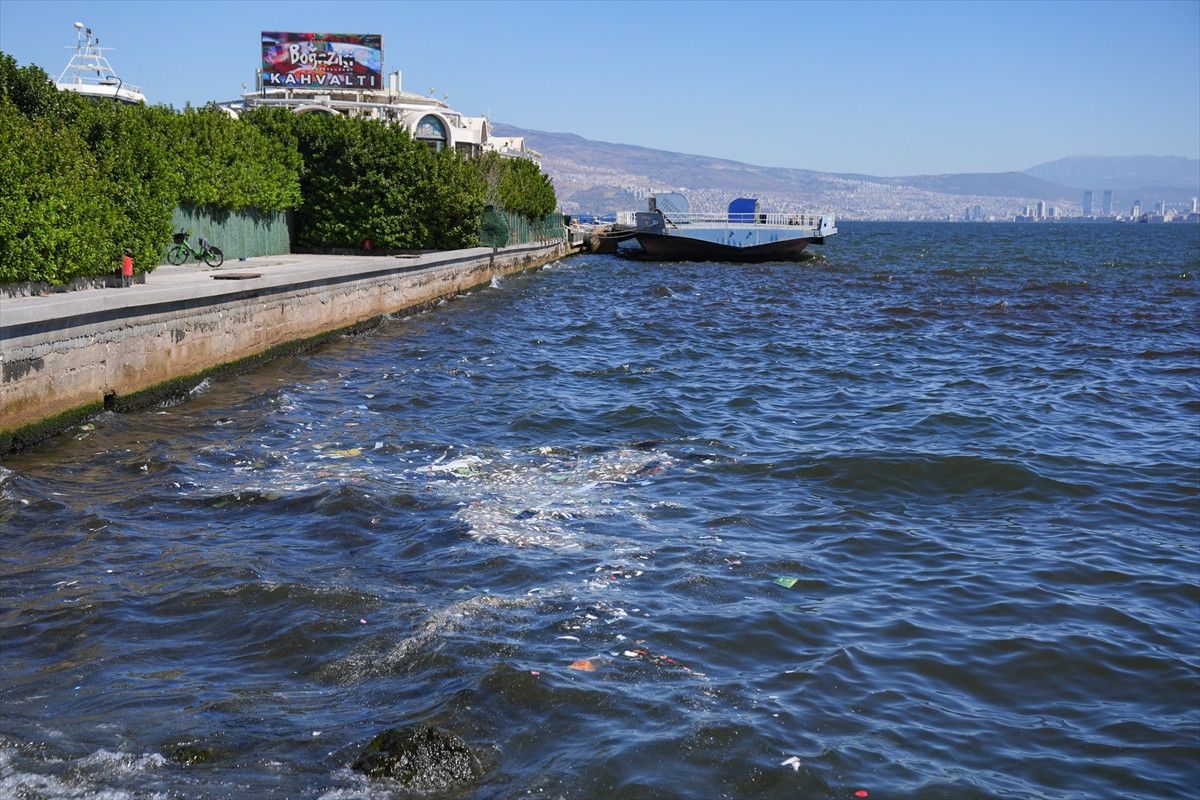 İzmir Körfezi'nde Balık Ölümleri: Sahilde Kirlilik ve Halkın Endişesi