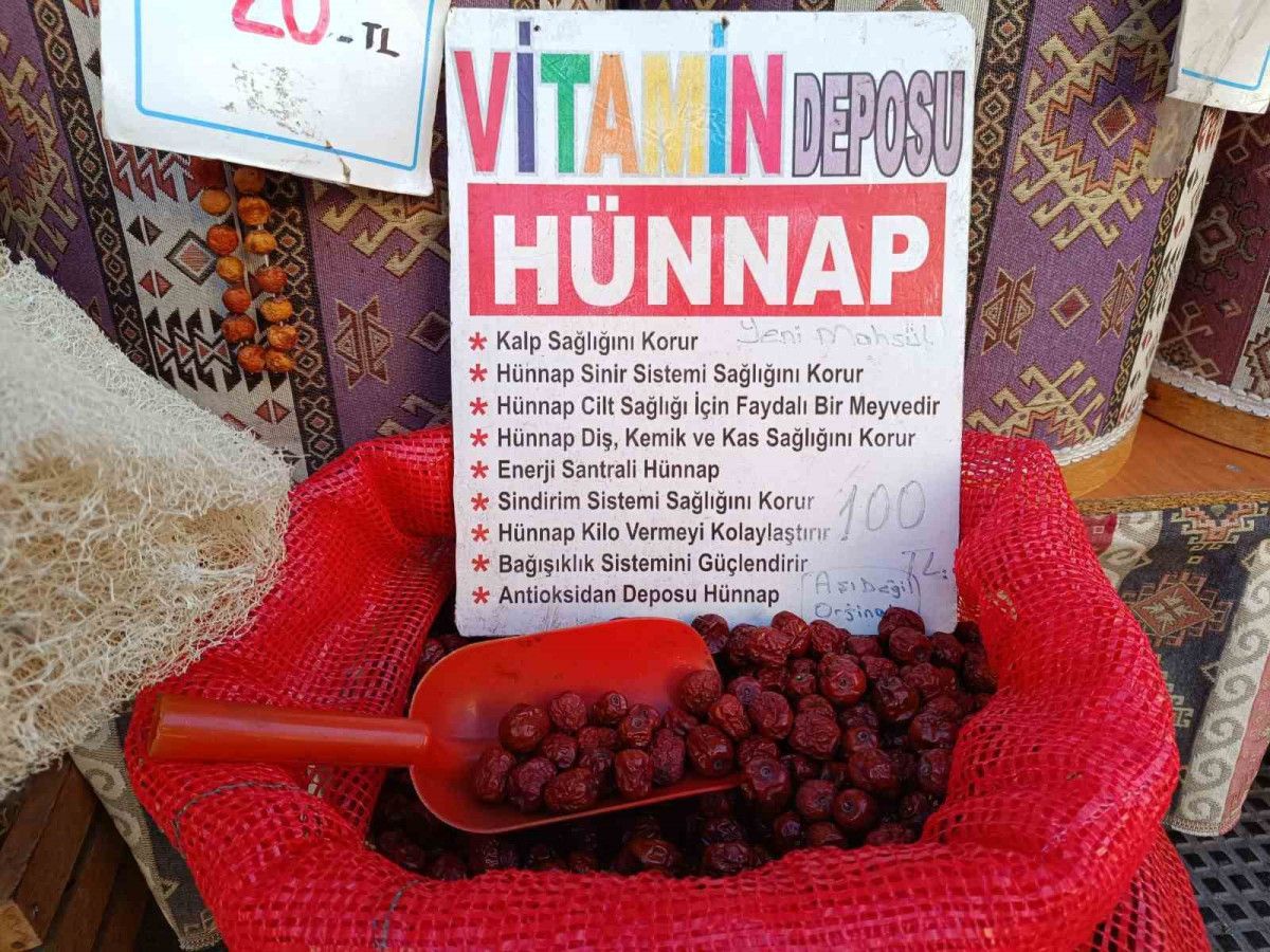 Söğütçük Hünnap Bahçesinde Hasat ve Üretim Serüveni
