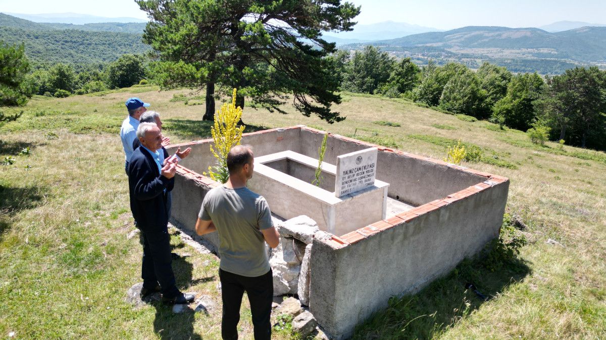 Hebüllü Yaylası’ndaki Yalnız Çam Türbesi: Yavuz Sultan Selim’in Yolculuğu ve Evliya Anıları