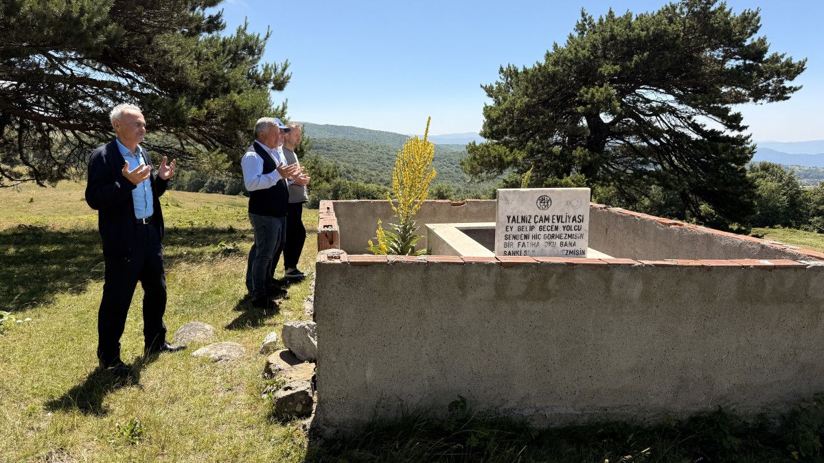 Hebüllü Yaylası’ndaki Yalnız Çam Türbesi: Yavuz Sultan Selim’in Yolculuğu ve Evliya Anıları