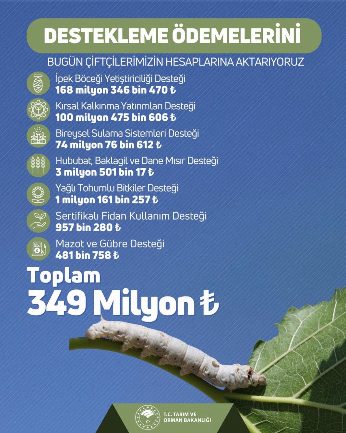 68df9a78c887f455__w1200xh1500.jpg