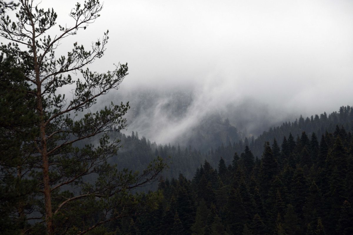 Ilgaz Dağı’nda Kar Sevinci: İlk Kar İzlenimleri ve Ziyaretçi Duyguları