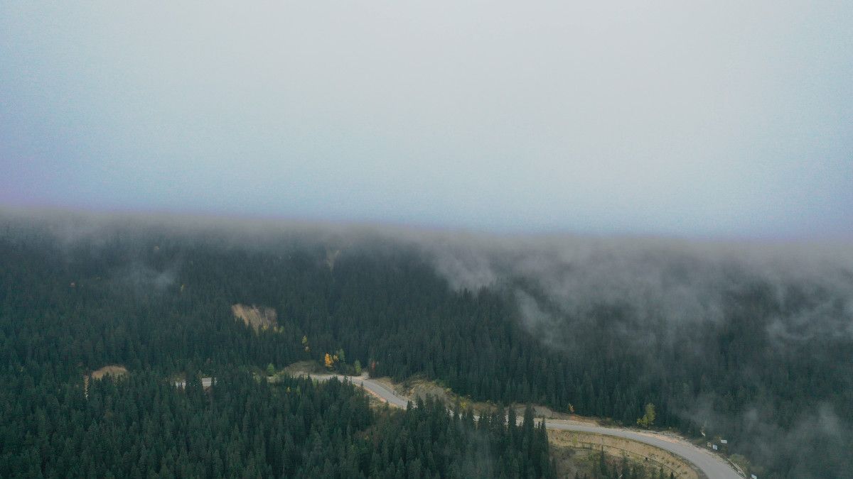 Ilgaz Dağı’nda Kar Sevinci: İlk Kar İzlenimleri ve Ziyaretçi Duyguları