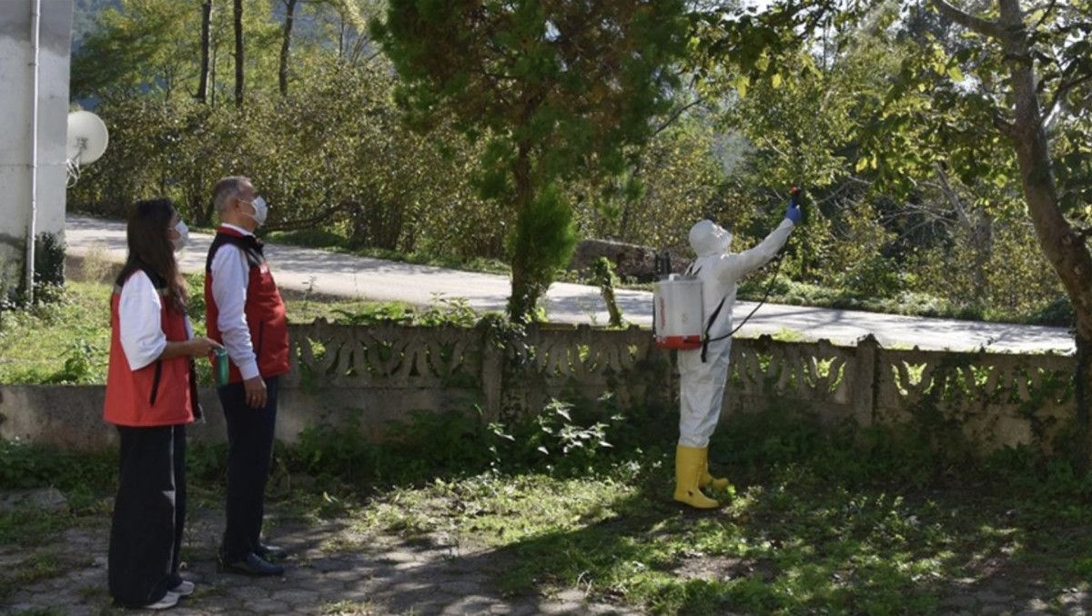 Kahverengi Kokarca Mücadelesinde Yeni Veriler: Feromon Tuzaklar ve Doğal Düşman Salımı