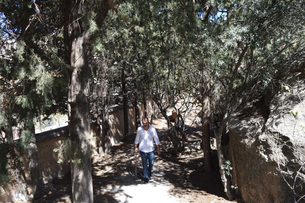 Hatıra Ormanı: Abdülhamit Saidoğlu’nun Yeşil Mirası ve Oğulu Maruf’un Çağrısı