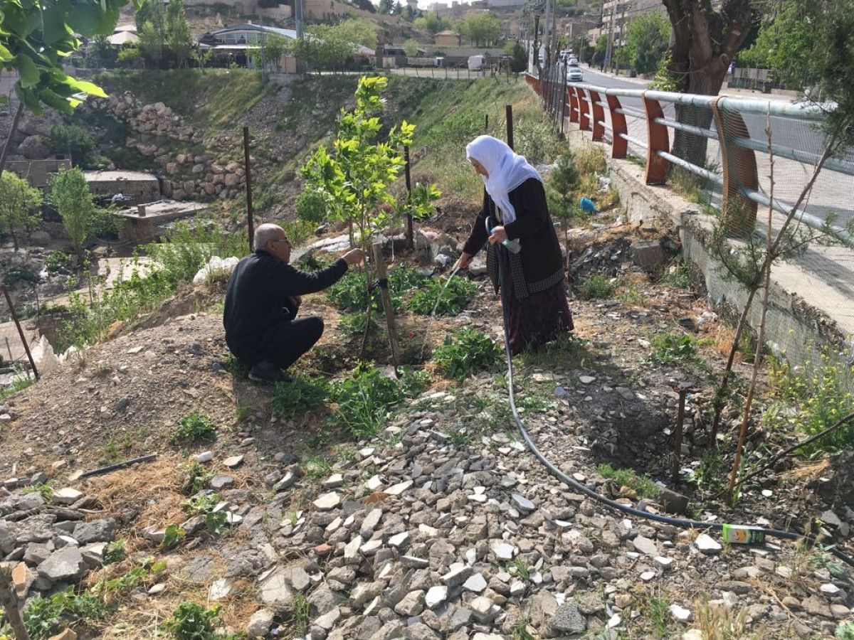 Hatıra Ormanı: Abdülhamit Saidoğlu’nun Yeşil Mirası ve Oğulu Maruf’un Çağrısı