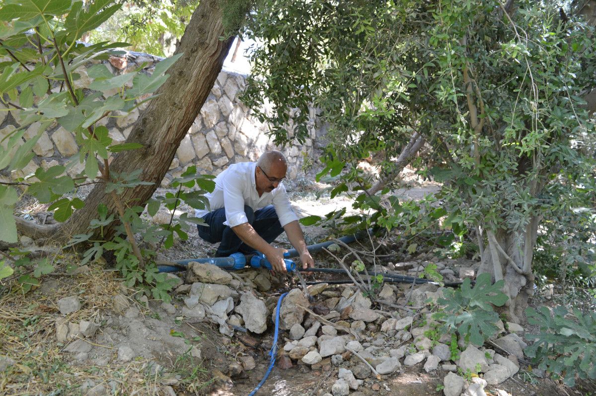 Hatıra Ormanı: Abdülhamit Saidoğlu’nun Yeşil Mirası ve Oğulu Maruf’un Çağrısı