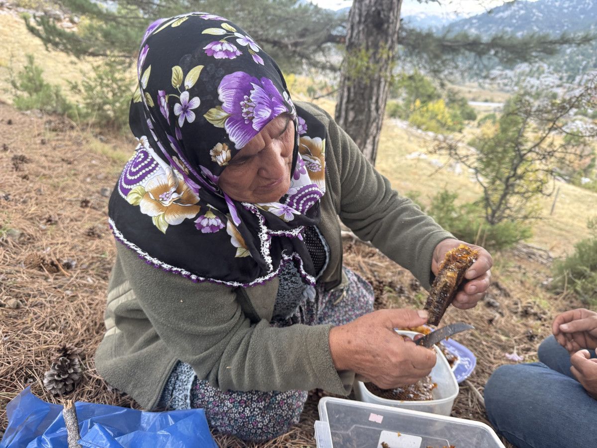 Doğal Bal İçin Dağların Gecesi Gündüzü: Akseki'den Firari Arı İzleri