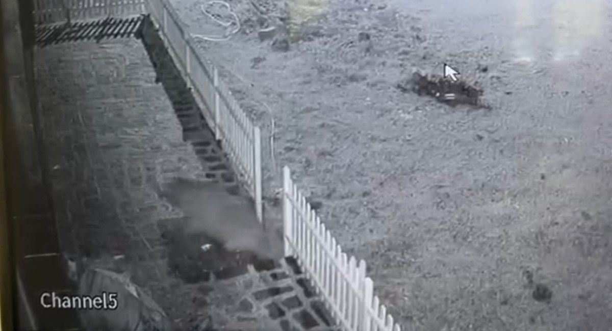 Ayı Kapıyı Zorlayan Şüpheli Yerine Güvenlik Kamerasında Sürprizliği Görüntüleyen Ev Sahibi