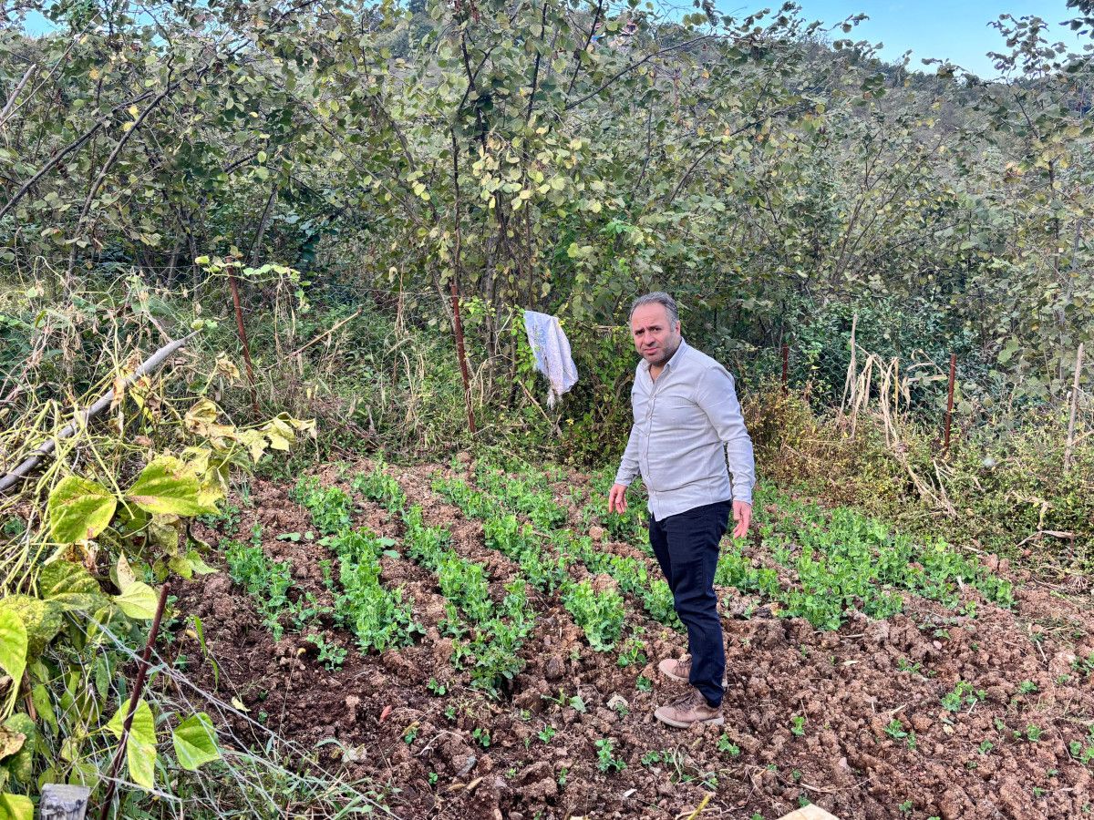 Ata Tohumuyla Doğa Dostu Üretim: Fatih Çolak’ın Hikayesi ve Yayılımı