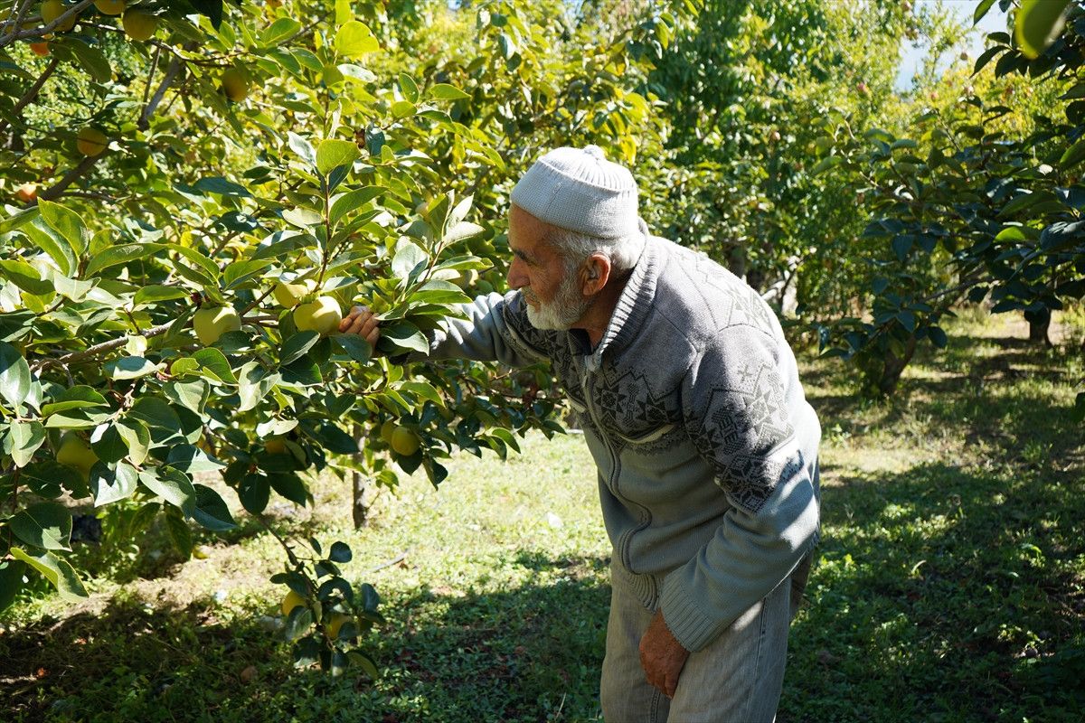 Hayır Bahçesi: İyiliği Paylaşan Emekli Bahçıvanın 30 Yıllık Hikayesi