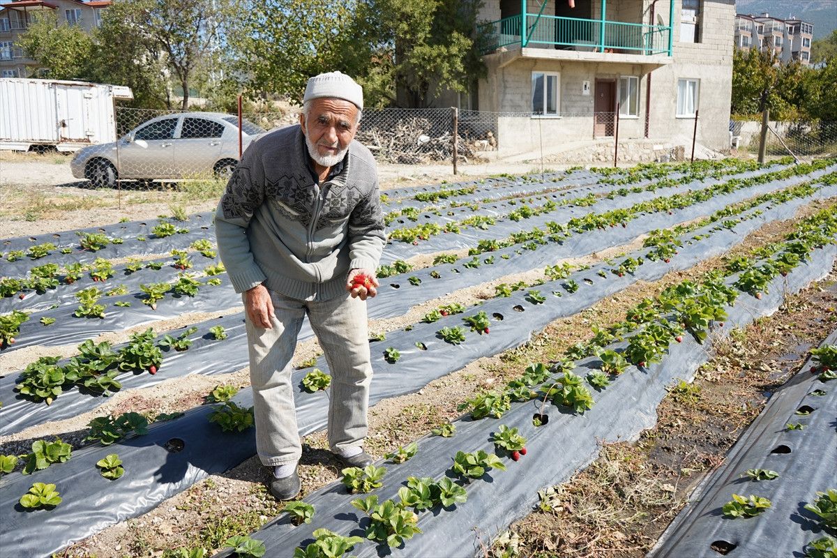 Hayır Bahçesi: İyiliği Paylaşan Emekli Bahçıvanın 30 Yıllık Hikayesi