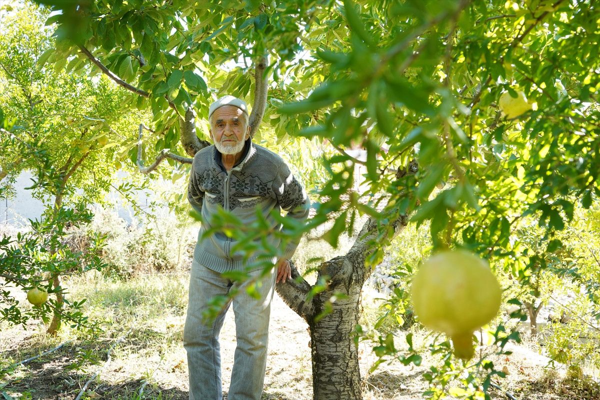 Hayır Bahçesi: İyiliği Paylaşan Emekli Bahçıvanın 30 Yıllık Hikayesi