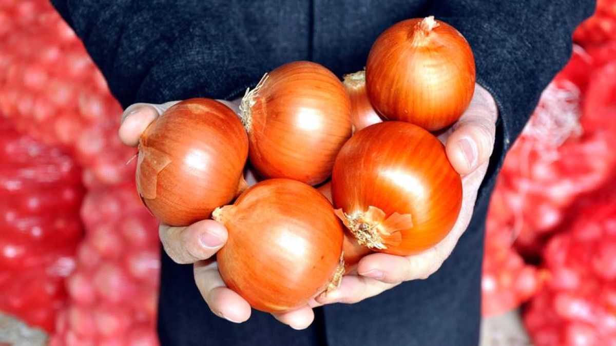Bağışıklığı Destekleyen Doğal Gıdalar: Antibiyotik Etkili Seçimler