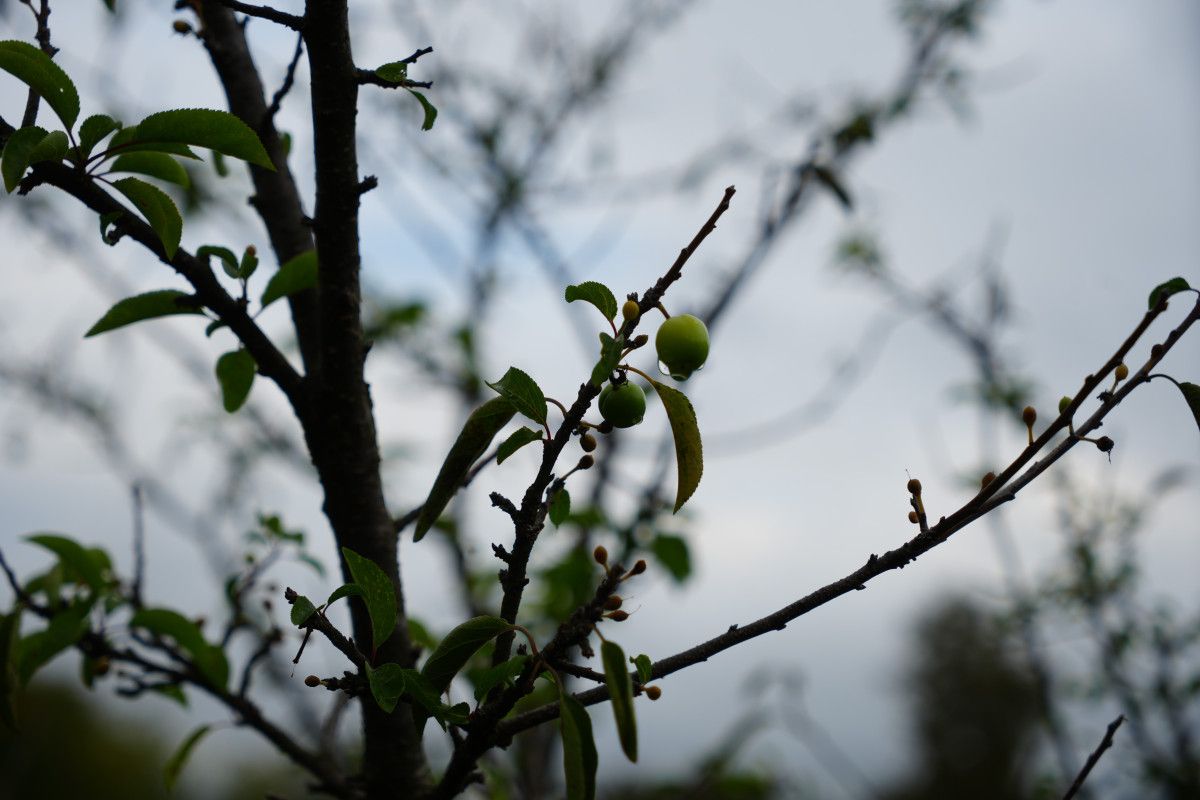 68fcbccdd637d290__w1200xh800.jpg