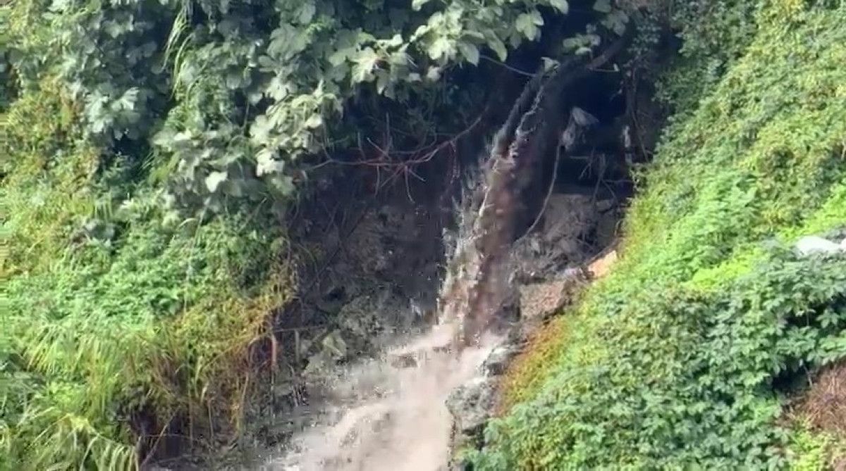 Karsak Deresi’ne Karışan Kirli Su Gemlik Körfezi’ni Tehdit Ediyor: Yetkililerden Acil İnceleme Çağrısı