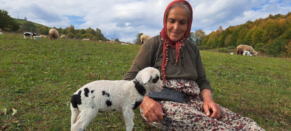 Bayıralan’da Yaşamanın Zorluğu ve Sevgiyle Yürünen Yayla Yolculuğu