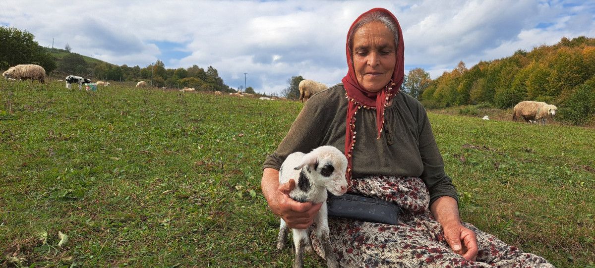 Bayıralan’da Yaşamanın Zorluğu ve Sevgiyle Yürünen Yayla Yolculuğu