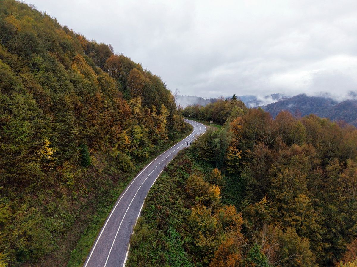 Çam Dağı'nın Sonbahar Büyüsü: Hendek ve Kocaali Arasında Doğanın Renk Cümbüşü