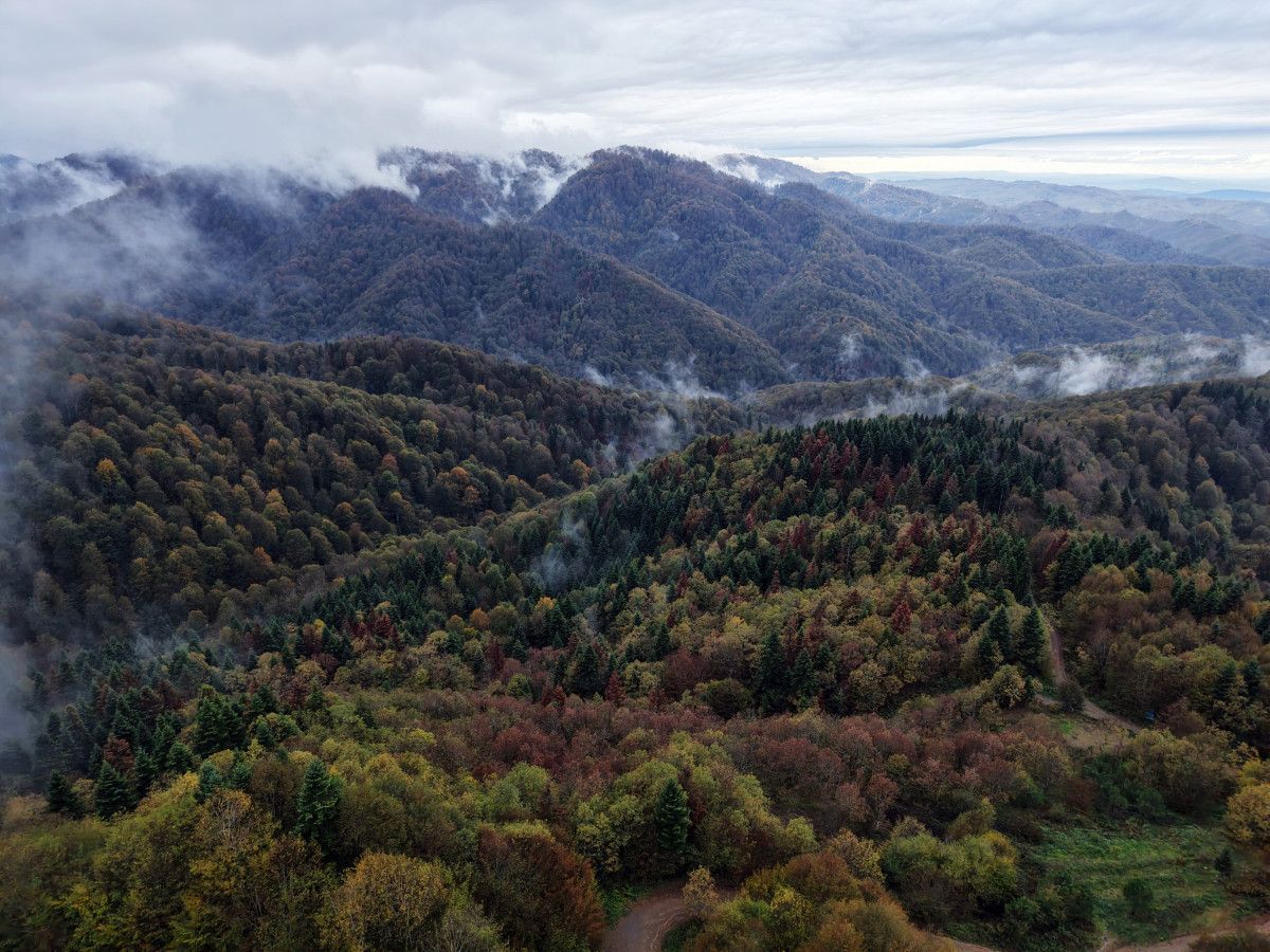 Çam Dağı'nın Sonbahar Büyüsü: Hendek ve Kocaali Arasında Doğanın Renk Cümbüşü