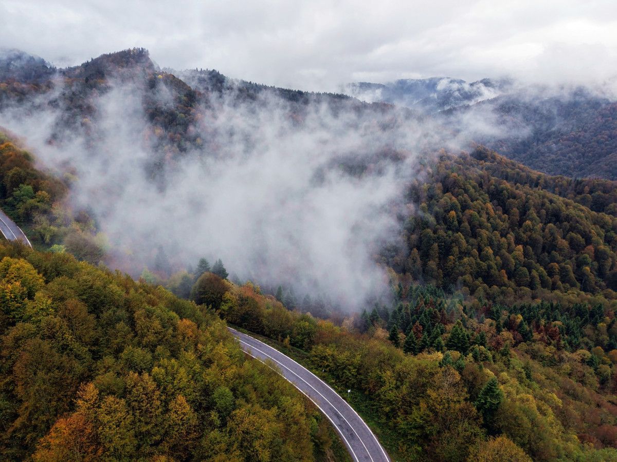 Çam Dağı'nın Sonbahar Büyüsü: Hendek ve Kocaali Arasında Doğanın Renk Cümbüşü
