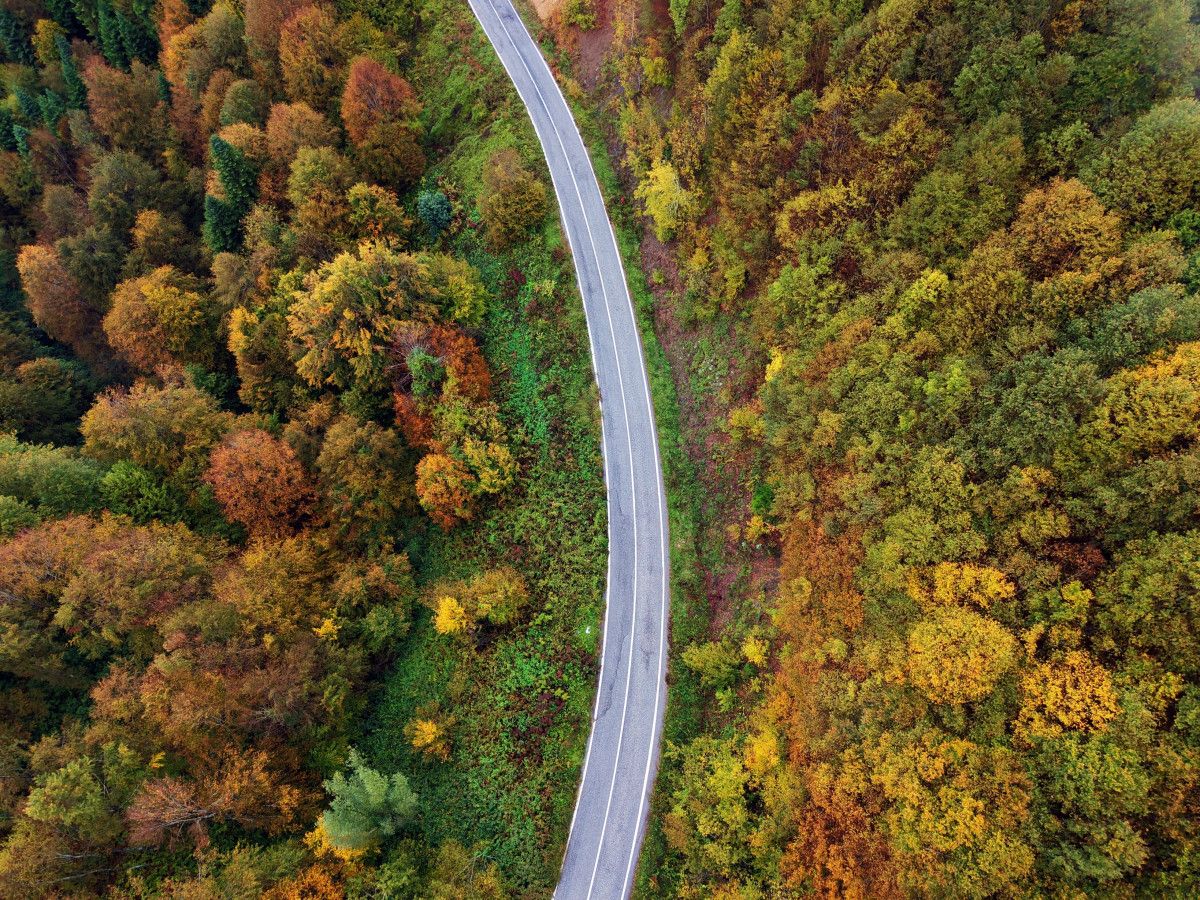 Çam Dağı'nın Sonbahar Büyüsü: Hendek ve Kocaali Arasında Doğanın Renk Cümbüşü