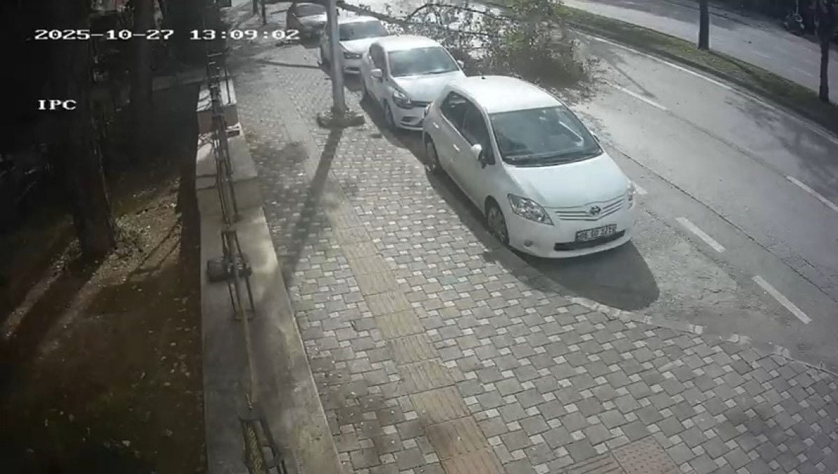 68ff65476e30c587__w1200xh679.jpg