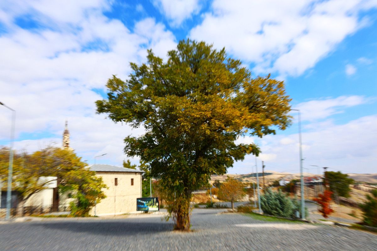 Harput Mahallesi: Sonbaharın Altın Tonlarıyla Büyüleyen 4 Bin Yıllık Tarih