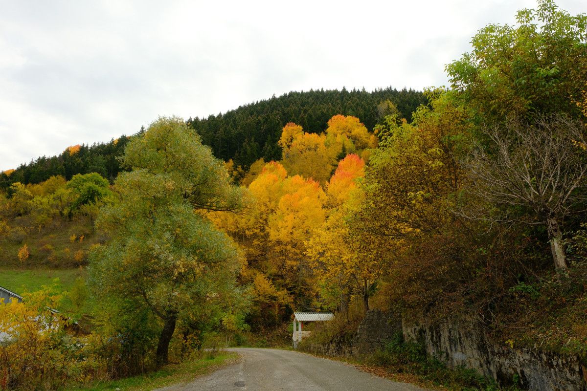 Zigana Yolunda Renklerin Büyüsü: Her Mevsim Keşfedilen İpek Yolu Şehri