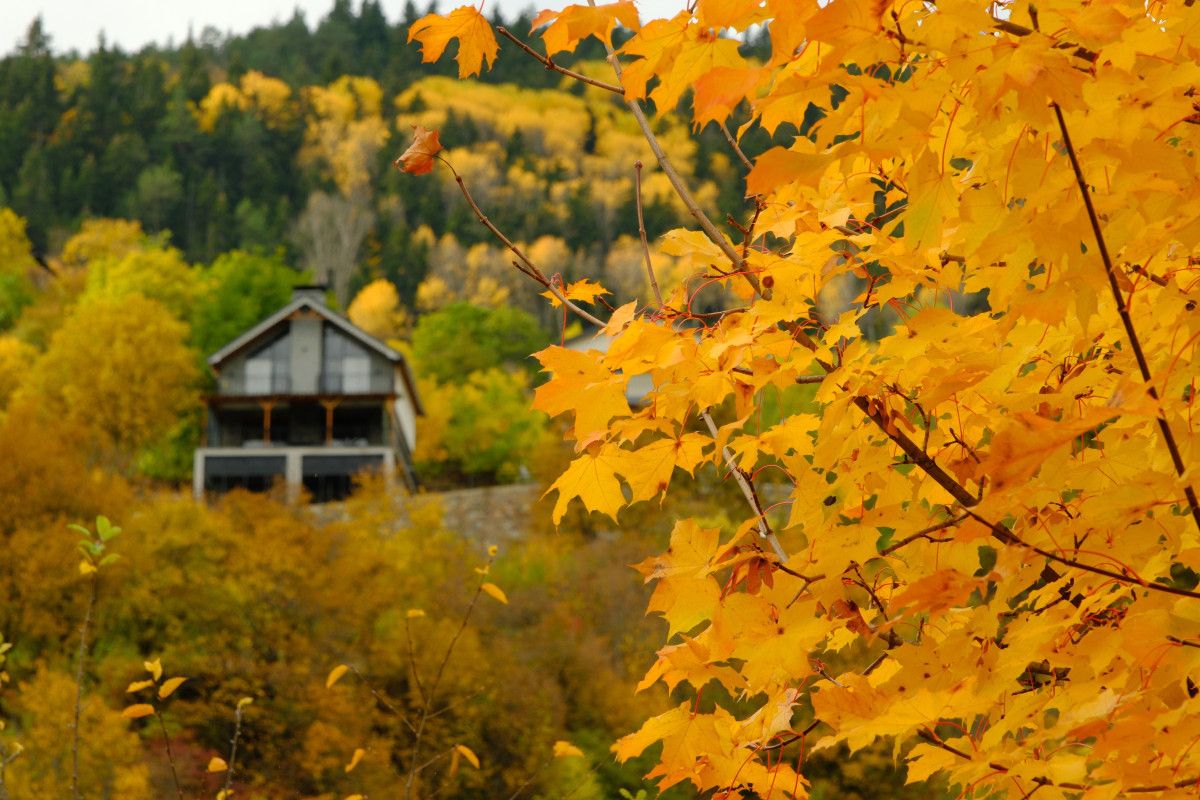 Zigana Yolunda Renklerin Büyüsü: Her Mevsim Keşfedilen İpek Yolu Şehri