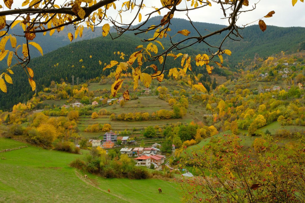 Zigana Yolunda Renklerin Büyüsü: Her Mevsim Keşfedilen İpek Yolu Şehri