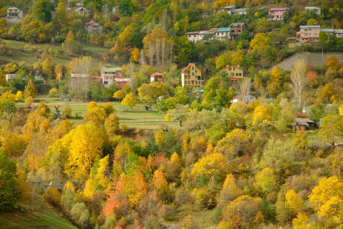 Zigana Yolunda Renklerin Büyüsü: Her Mevsim Keşfedilen İpek Yolu Şehri