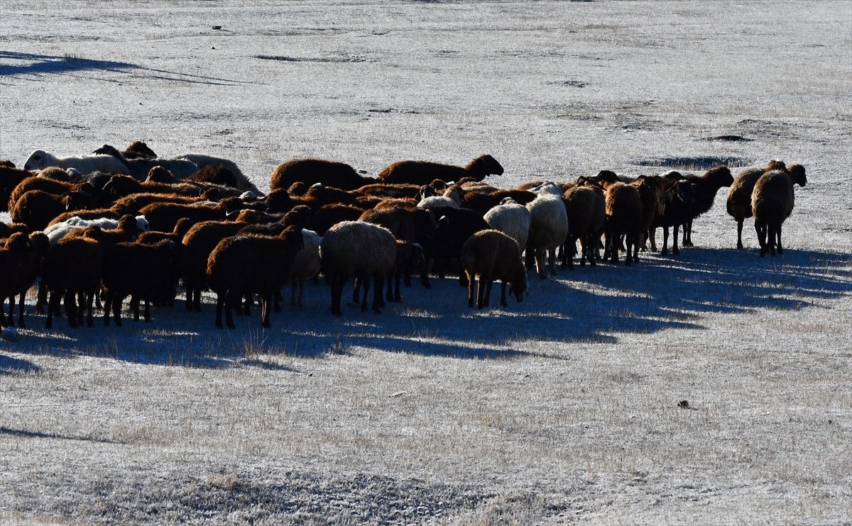 Sarıkamış ve Çevresinde Şiddetli Dondurucu Hava ve Kar Manzaraları