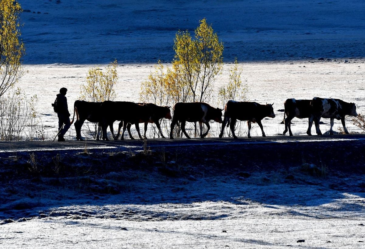 Sarıkamış ve Çevresinde Şiddetli Dondurucu Hava ve Kar Manzaraları