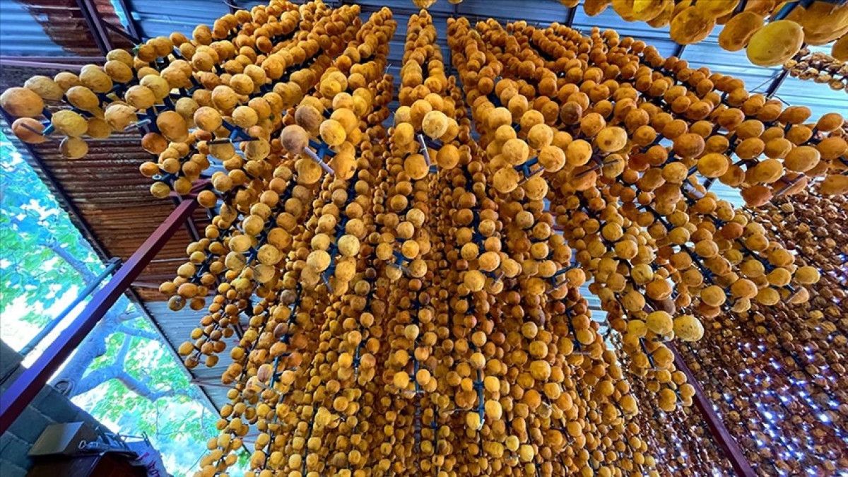 Geleneksel Cennet Hurması: Faydaları ve Dikkat Edilmesi Gerekenler