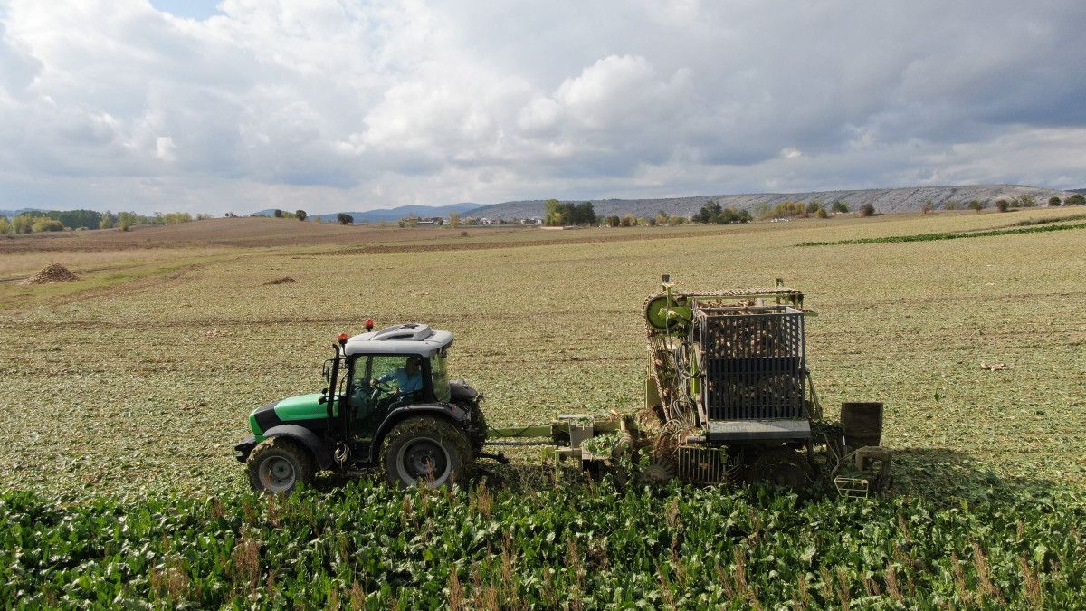 Kastamonu’da Şeker Pancarı Hasadında Umut Veren Verim ve Yatırımlar