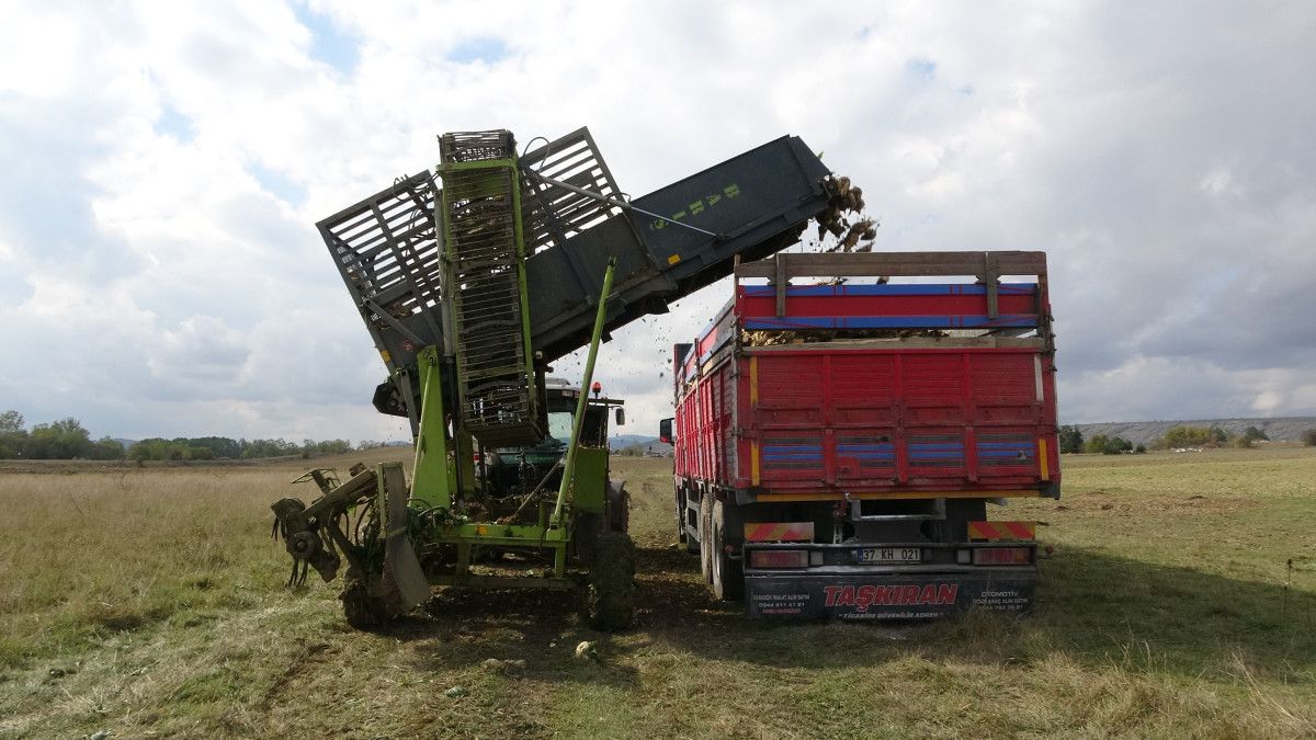 Kastamonu’da Şeker Pancarı Hasadında Umut Veren Verim ve Yatırımlar