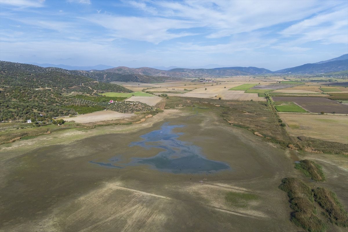 Belevi Gölü’nde Kuraklık Etkileri: Balık Ölümleri ve Ekosistem Kaybı