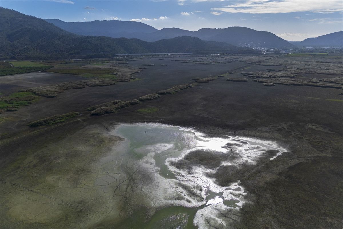 Belevi Gölü’nde Kuraklık Etkileri: Balık Ölümleri ve Ekosistem Kaybı