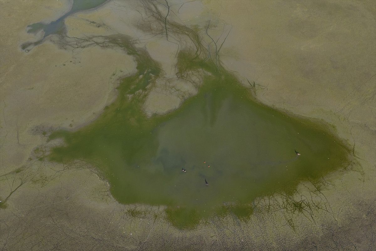 Belevi Gölü’nde Kuraklık Etkileri: Balık Ölümleri ve Ekosistem Kaybı