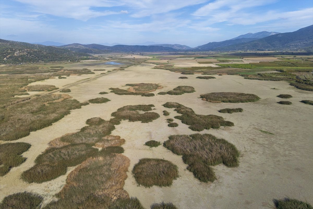 Belevi Gölü’nde Kuraklık Etkileri: Balık Ölümleri ve Ekosistem Kaybı