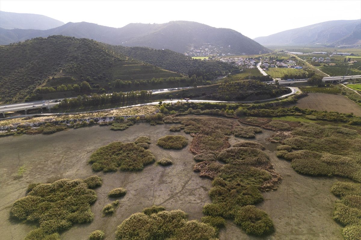 Belevi Gölü’nde Kuraklık Etkileri: Balık Ölümleri ve Ekosistem Kaybı
