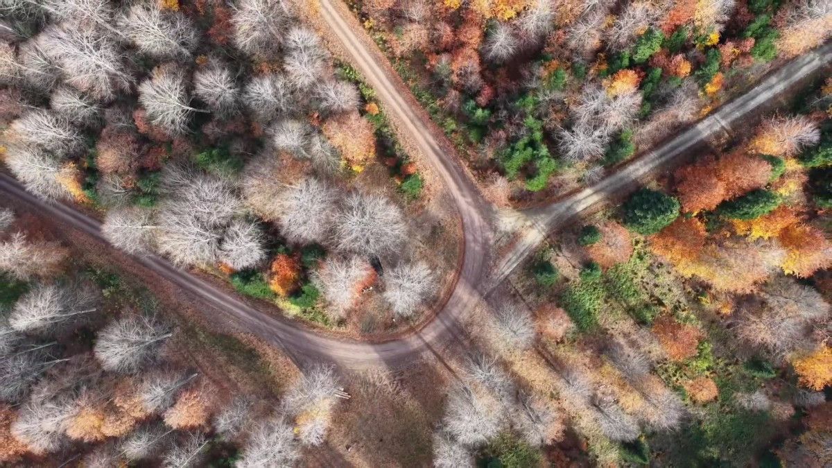 Sonbahar Manzarası: Mengen’in Yükseklerinde Renk Cümbüşü ve Drone Görüntüleri