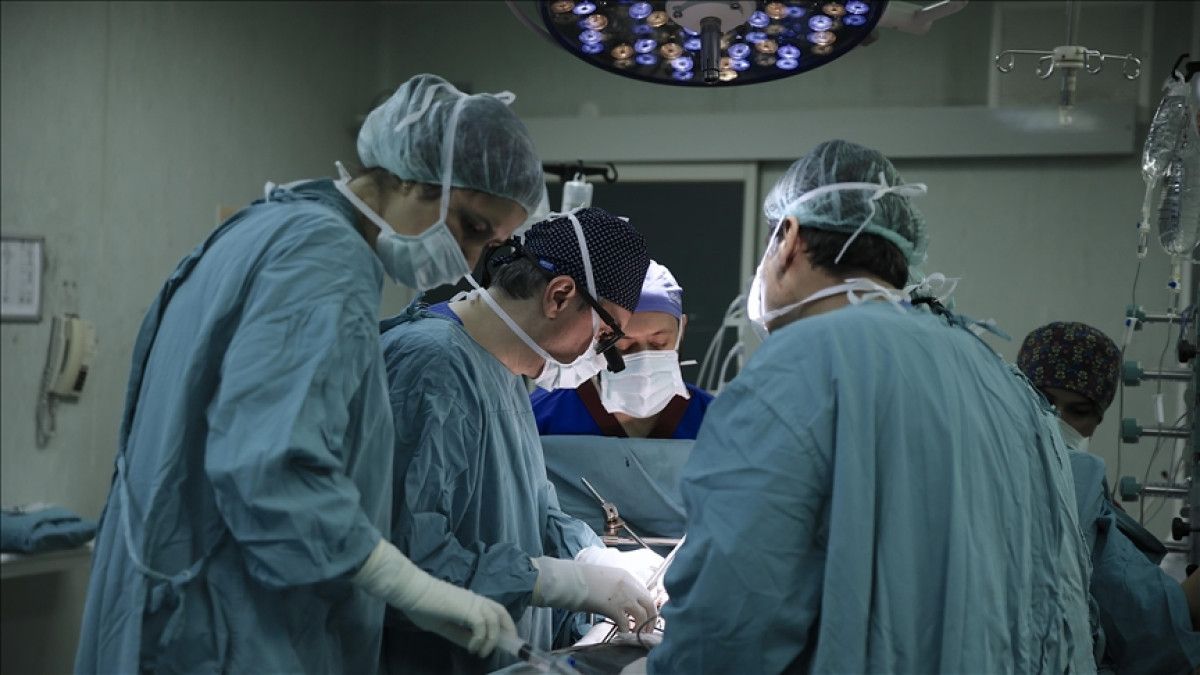 Türkiye'de Organ Nakli: Ülke Geneli Merkezler ve Güncel Veriler