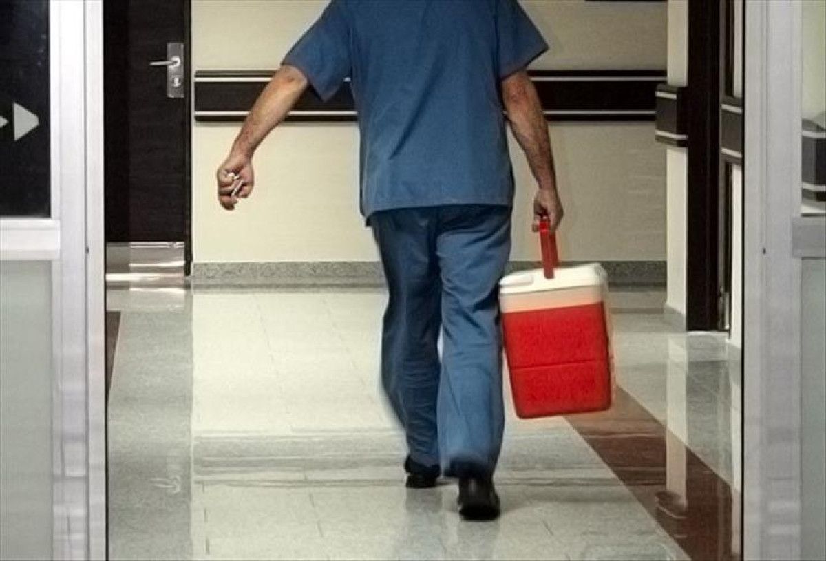 Türkiye'de Organ Nakli: Ülke Geneli Merkezler ve Güncel Veriler