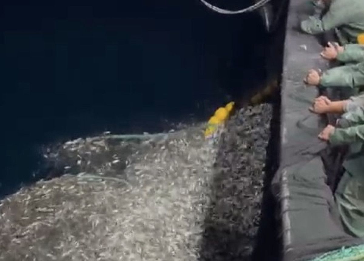 Denizlere Saygı: Balıkçı Gönüllü Geri Bırakım Hareketi ve Sürdürülebilirlik