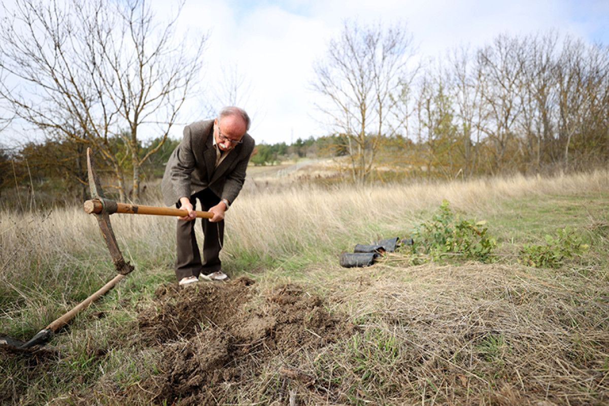 Yeşili sevenlerin izi: Hasan Aladağ’ın orman sevgisi ve fidana olan bağlılığı