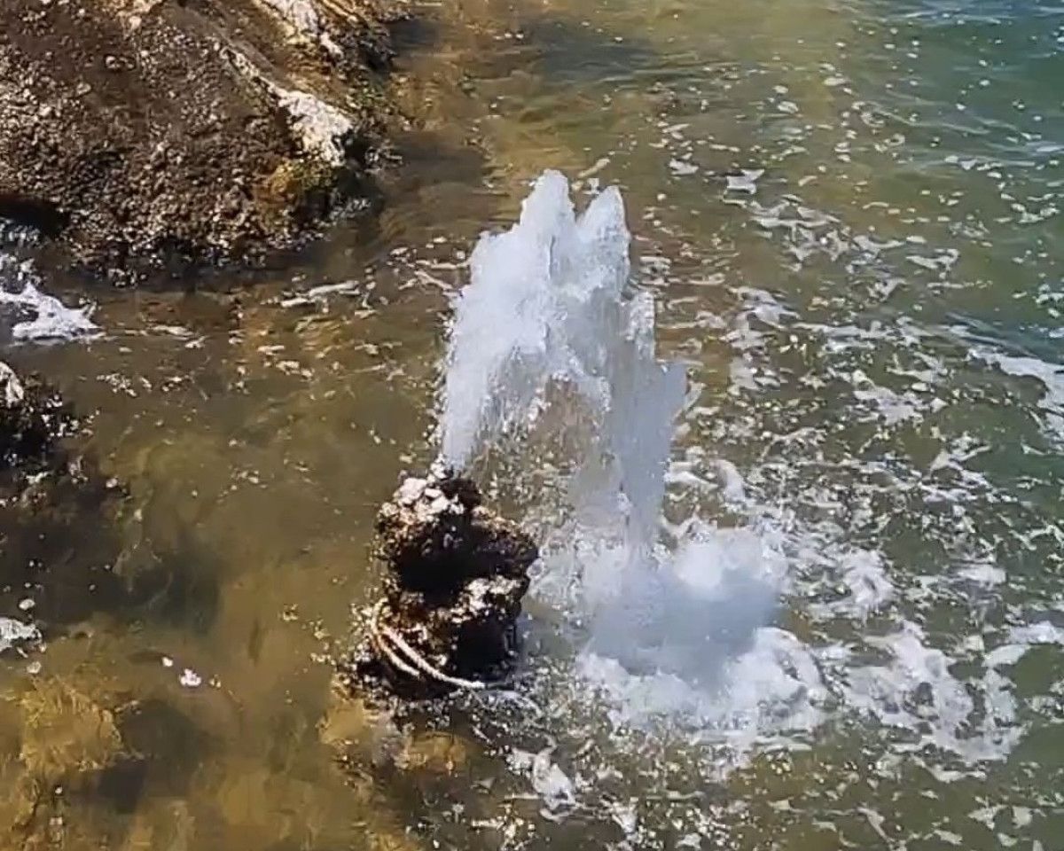 Van Gölü’nde Mikrobiyalitler: Tatlı Suyun Tuzlu Sular İçindeki Gizemi