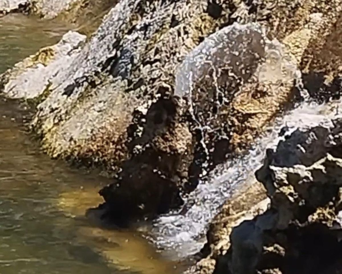 Van Gölü’nde Mikrobiyalitler: Tatlı Suyun Tuzlu Sular İçindeki Gizemi