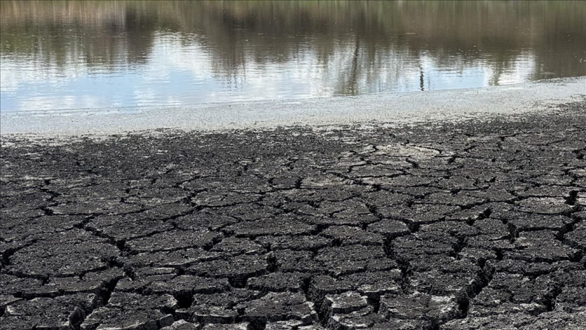 Gıda ve Su İsrafını Önlemek İçin Uluslararası Yüksel Dilimli Tarım Bakanları Paneli – İstanbul'da Başlıyor